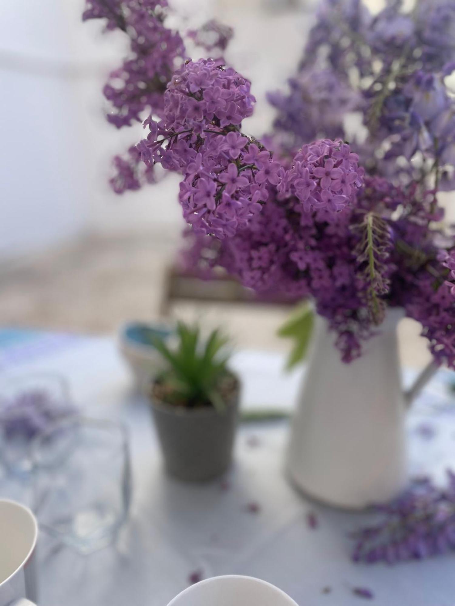 Vespahome Kavala Dış mekan fotoğraf